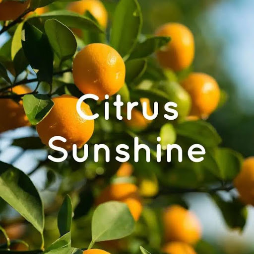 Citrus Sunshine